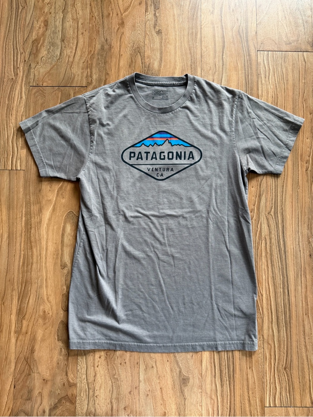 Patagonia graphic t-shirt